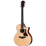 Taylor 314ce Next G