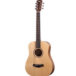 Taylor Baby Taylor BT1E w/gigbag