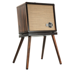 00887766128213 Taylor Circa 74 AV150-10 Acoustic Guitar Amplifier and Vocal System, MACASSAR EBONY with stand
